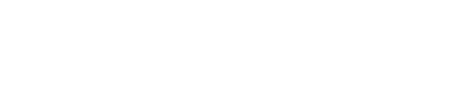 Savvy Otter